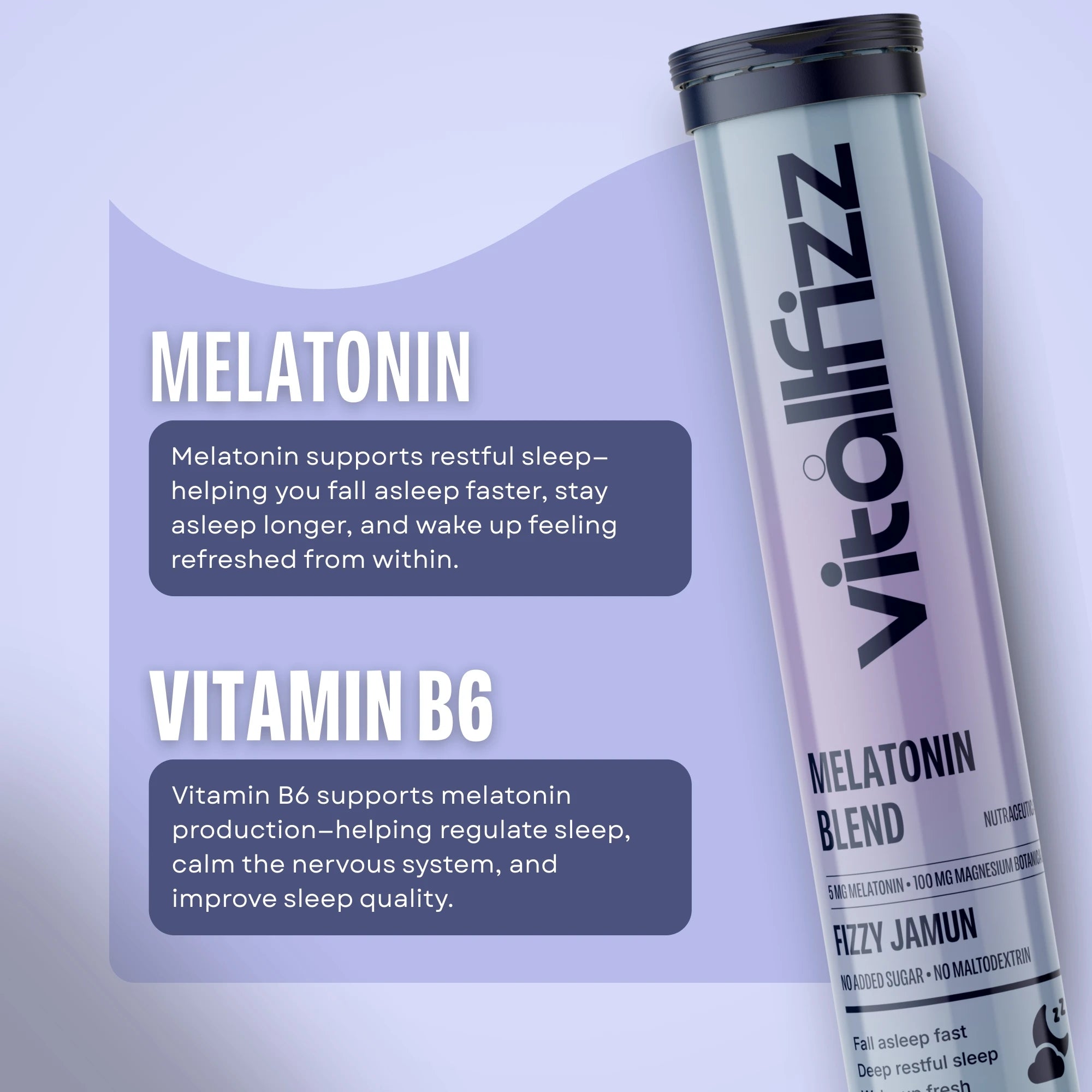 Vitallfizz Melatonin Wellness | Zero Sugar | Fizzy Jamun