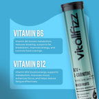 Vitallfizz ACV + L-Carnitine | Metabolism Booster | Zero Sugar | Mixed Fruits
